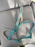 Bucas halster, Dieren en Toebehoren, Ophalen of Verzenden, Gebruikt, Overige soorten