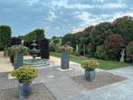 zandsteen look fontein met rand ALL INN, Ophalen of Verzenden, Nieuw, Beton, Fontein