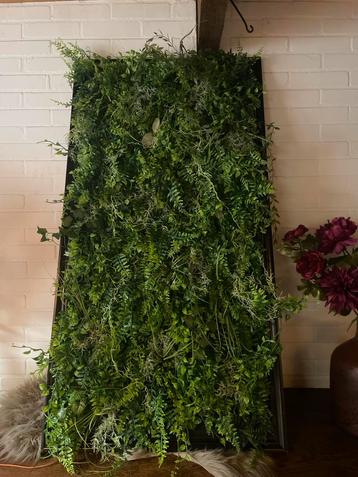 Groene Wanddecoratie - Verticale Tuin beschikbaar voor biedingen