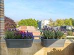 2x Elho Corsica Easy Balcony - Flowerpot railing, Ophalen, Kunststof, Minder dan 30 cm, Minder dan 60 cm