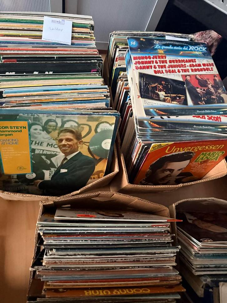 Grote collectie LP's - Diverse genres, Cd's en Dvd's, Vinyl | Overige Vinyl, Gebruikt, 12 inch, Ophalen