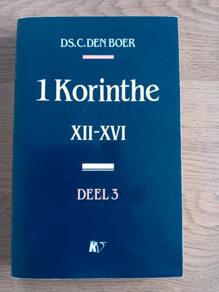 1 Korinthe XII-XVI - D.S.C. den Boer, Boeken, Godsdienst en Theologie, Gelezen, Christendom | Katholiek, Christendom | Protestants