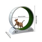 katten loopband, Dieren en Toebehoren, Ophalen, Nieuw