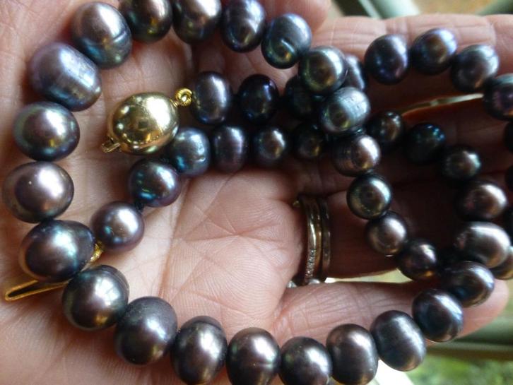 Collier zwarte Tahiti Parels met 14 kt Gouden Slot, Sieraden, Tassen en Uiterlijk, Kettingen, Zo goed als nieuw, Goud, Zwart, Met edelsteen