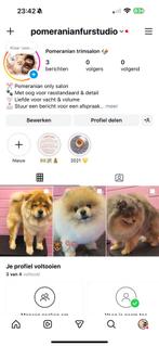 Pomeranian trimmen / trimsalon pomeriaan dwergkees, Ophalen of Verzenden, Nieuw