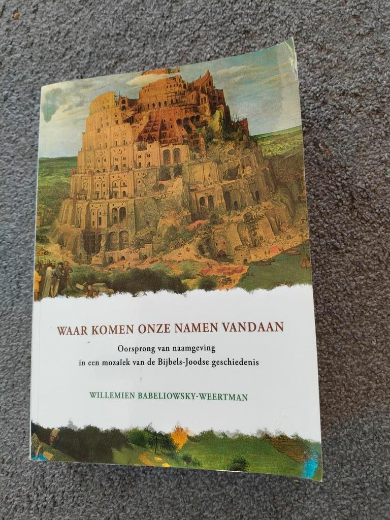 Waar Komen Onze Namen Vandaan?, Ophalen of Verzenden, Gelezen