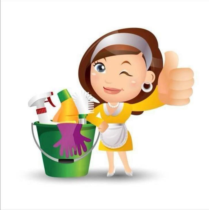 Gezocht hulp bij het huishouden in Lichtenvoorde., Vacatures, Vacatures | Schoonmaak en Facilitaire diensten, Overige vormen