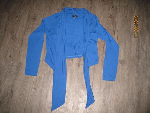 Enjoy blauw vest maat M, Kleding | Dames, Truien en Vesten, Gedragen, Maat 38/40 (M), Blauw, Ophalen of Verzenden