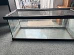 Groot aquarium, Ophalen, Gebruikt, Leeg aquarium