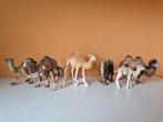 Schleich kamelen en dromedarissen, Wild dier, Ophalen of Verzenden, Zo goed als nieuw, Beeldje of Figuurtje