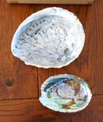 2 x Abalone schelp gaaf 15,5 x 12,5 en 10 x 8 cm smudgen, Verzamelen, Mineralen en Fossielen, Schelp(en), Ophalen of Verzenden