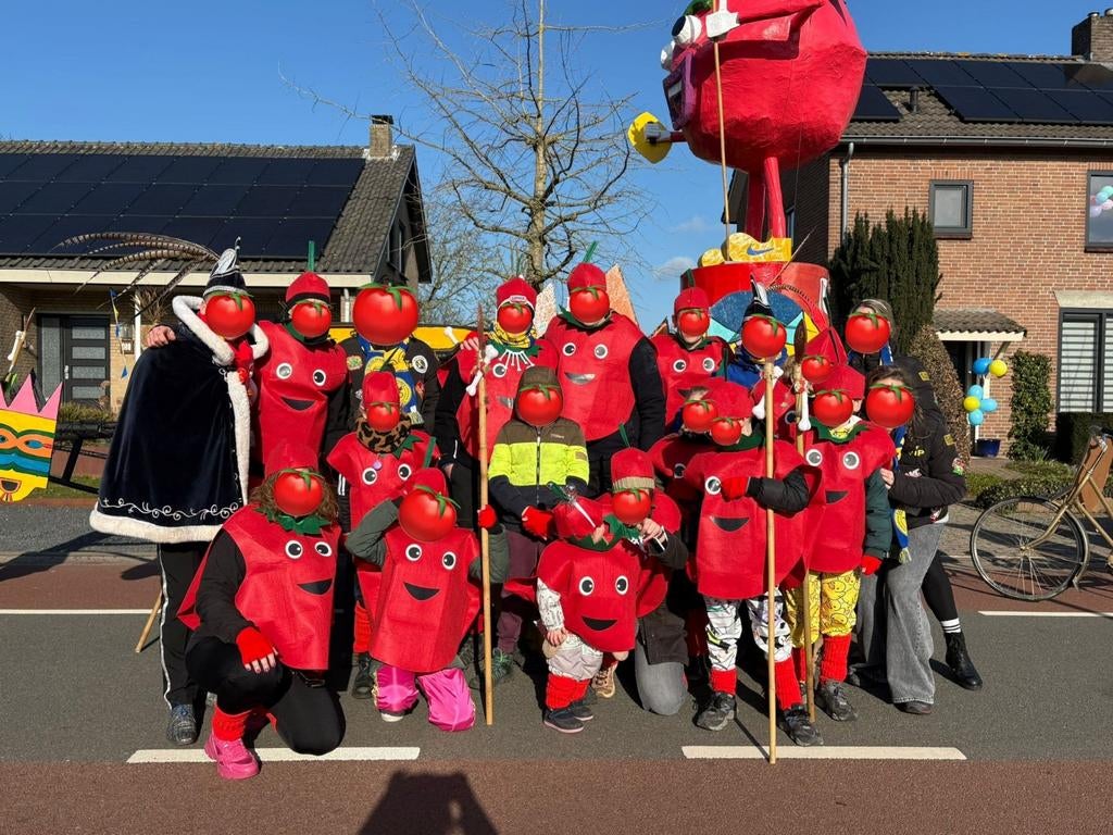 Tomaten pakken loopgroep groep, Ophalen of Verzenden, Zo goed als nieuw, Carnaval