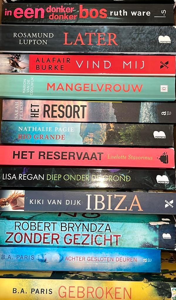 Boekenpakket, Lisa Regan, Kiki van Dijk, Bryndza, Pagie etc, Boeken, Romans, Zo goed als nieuw, Nederland, Ophalen of Verzenden