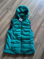 Eurostar bodywarmer emerald S, Dieren en Toebehoren, Paardrijkleding, Ophalen of Verzenden, Dames, Bovenkleding, Nieuw