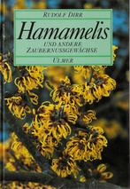 Hamamelis, Ophalen of Verzenden, Gelezen, Tuinieren en Tuinplanten