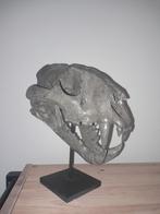 Realistisch Tijger Schedel, Ophalen