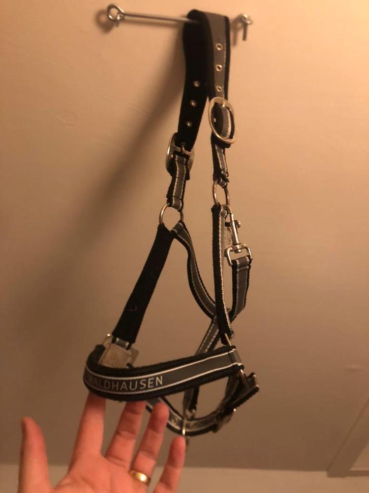 Waldhausen Grijs Zwart Halster Mt Pony Anatomisch, Dieren en Toebehoren, Paarden en Pony's | Hoofdstellen en Tuigage, Gebruikt