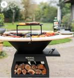 Plancha, Ophalen, Zo goed als nieuw, Met accessoires