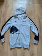 Red Bull vest maat XS, Kleding | Heren, Truien en Vesten, Ophalen of Verzenden, Zo goed als nieuw, Maat 46 (S) of kleiner, Grijs