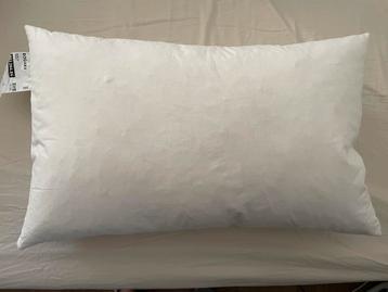 2x IKEA binnenkussen, eendenveren vulling, 40x65cm (nieuw) beschikbaar voor biedingen