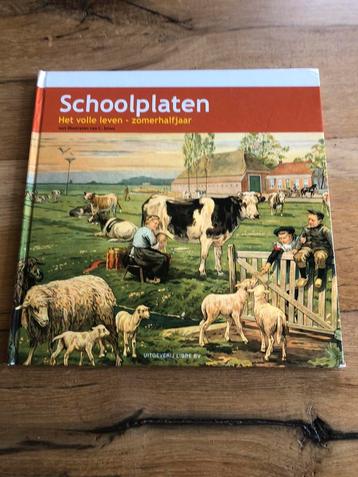 F. van Dulmen - Schoolplaat het volle leven beschikbaar voor biedingen
