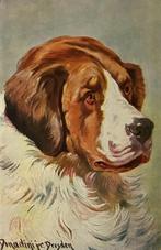 hond SINT BERNARD Honden Dogs  Illustrateur Donaldini, Overige thema's, Ongelopen, Ophalen of Verzenden, Voor 1920