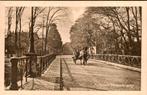 Zutphen - Deventerweg - Brug met paard en kar, Ophalen of Verzenden, 1920 tot 1940, Ongelopen, Gelderland