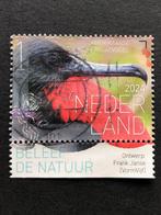 Postzegel Nederland 2024 Caribisch gebied Fregatvogel, Ophalen of Verzenden, Na 1940, Gestempeld