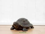 194* bronzen land schildpad (Boven €75 geen verzendkosten), Tuin en Terras, Tuinbeelden, Nieuw, Overige materialen, Ophalen of Verzenden