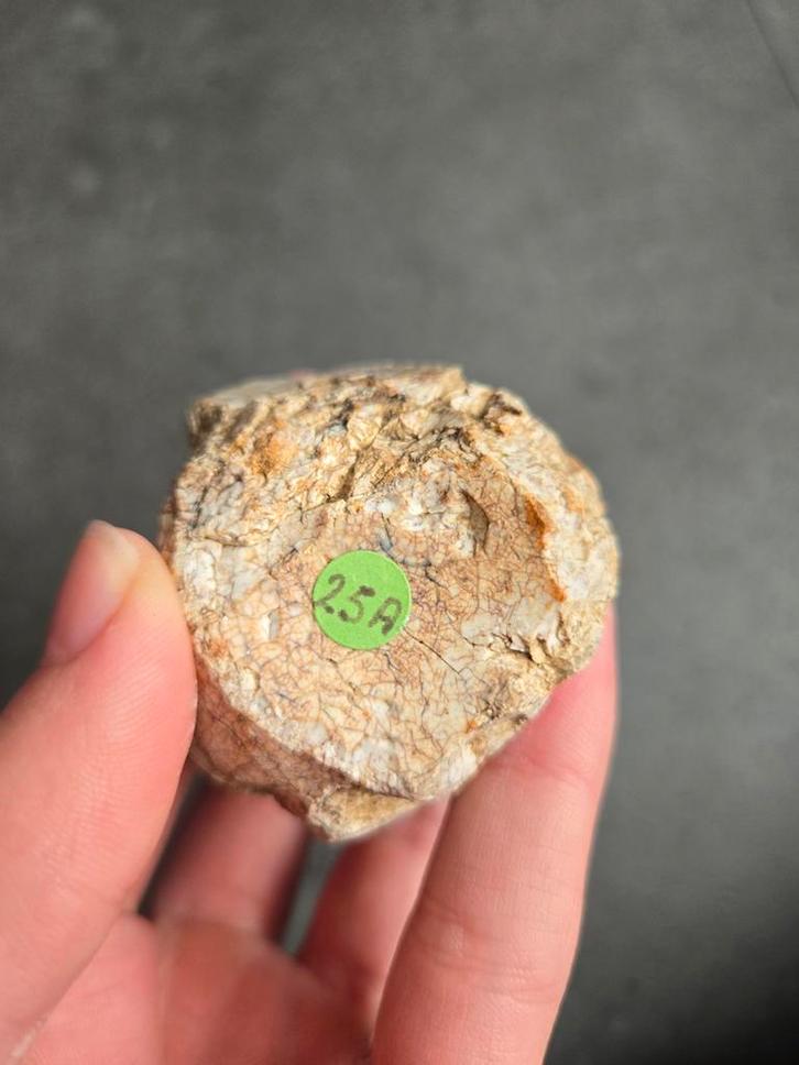 Vuursteen uit de Cevennen, Frankrijk, Verzamelen, Mineralen en Fossielen, Ophalen of Verzenden