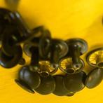 Platte kop spijkers Bruin, https://www.motorman.nl/zoek-uw-product/diversen-accessoires-1/bouten-moeren-spijkers, Nieuw, Ophalen of Verzenden