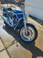 Harley v-rod blauw grijs., Motoren, Motoren | Harley-Davidson, 1247 cc, 12 t/m 35 kW, Particulier, 2 cilinders