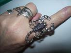 Ring Zilverkleur Mooi Groot Schorpioen Kristal verstelbaar, Sieraden, Tassen en Uiterlijk, Ringen, Met kristal, Nieuw, Dame of Heer