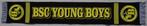 sjaal Young Boys, Ophalen of Verzenden, Nieuw, Buitenlandse clubs, Vaantje of Sjaal