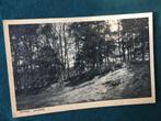 Ansichtkaart Ommen, Laarbos 1949, Verzamelen, Ansichtkaarten | Nederland, Ophalen of Verzenden, 1940 tot 1960, Gelopen, Overijssel