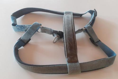 Hondentuig: blauw 60 cm, Dieren en Toebehoren, Hondenriemen, Gebruikt, Ophalen