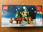 Lego kerst noordpool 40484, Kinderen en Baby's, Speelgoed | Duplo en Lego, Ophalen, Nieuw, Lego
