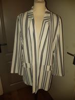 Primark pak wit zwart gestreept maat 44 broek en 42 blazer, Kleding | Dames, Ophalen of Verzenden, Zo goed als nieuw, Maat 42/44 (L)