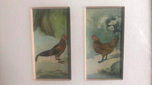 Kip en haan lithografie 1930, Antiek en Kunst, Kunst | Litho's en Zeefdrukken, Ophalen of Verzenden