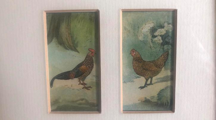 Kip en haan lithografie 1930, Antiek en Kunst, Kunst | Litho's en Zeefdrukken, Ophalen of Verzenden