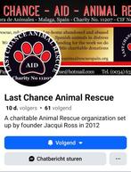 Gevraagd oude dekens voor honden, Diensten en Vakmensen