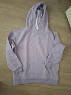 Colourful Rebel Maat S Trui, Colourful Rebel, Ophalen of Verzenden, Maat 36 (S)