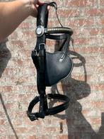 Zilco hoofdstel, Dieren en Toebehoren, Paarden en Pony's | Hoofdstellen en Tuigage, Ophalen of Verzenden