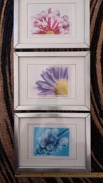 3 fotolijsten met passe-partout,  nu 3 stuks voor 3,50 euro., Huis en Inrichting, Woonaccessoires | Lijsten, Minder dan 50 cm