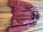 bordeaux rood leren jasje van Arma maat 40, Ophalen of Verzenden, Zo goed als nieuw, Maat 38/40 (M), Rood