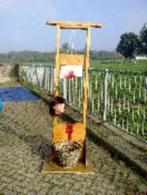 Halloween decor te huur, Ophalen, Zo goed als nieuw, Halloween of Griezel