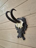 Mooie gems schedel met hoorns op schild Mancave Jacht c84, Ophalen of Verzenden, Zo goed als nieuw, Wild dier, Gewei of Kop