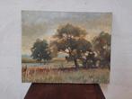 Schilderij Lamber de Malpie - Landschap, Ophalen of Verzenden