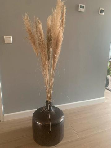 Bruin gemeleerde vaas + pluimen - ZGAN beschikbaar voor biedingen