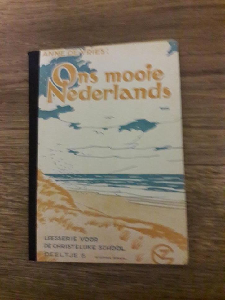 Oude Leesboekjes voor de lagere school van Anne de vries, Antiek en Kunst, Antiek | Boeken en Bijbels, Ophalen of Verzenden